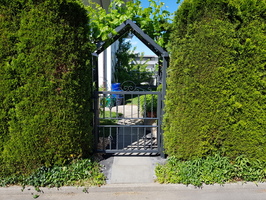 20190608-163856.jpg